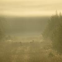 Oct 07 : Philippe CUMONT