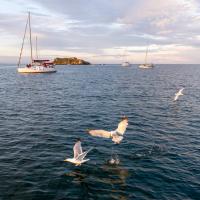 Oct 09 : Christian SIRET