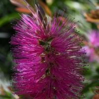 Oct 37 : Jean Paul DELALANDE