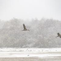 Dec 05 : Philippe DUVAL