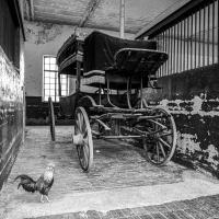 Dec 19 : Jean Louis GARREAU