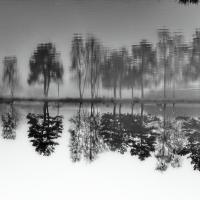 Jan 01 : Catherine GARREAU