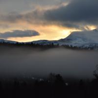 Jan 32 : Sylvie CUMONT