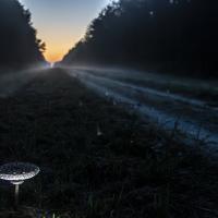 Jan 37 : Philippe DUVAL