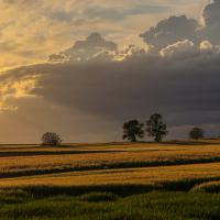 Jan 51 : Pascal SOUCHARD