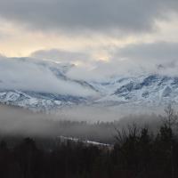 Jan 55 : Sylvie CUMONT