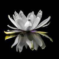 Mar 20 : Philippe DUVAL