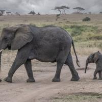 Mar 29 : Jean Paul BOURGEOIS