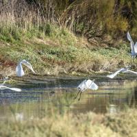 Mar 03 : Jean Alliot