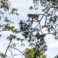 Mar 08 : Jean Alliot