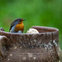 Mar 27 : Jean Alliot