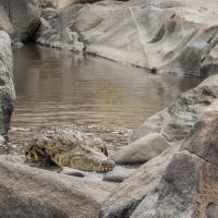 Mar 28 : Jean Paul BOURGEOIS