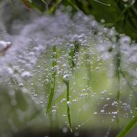 Mar 33 : Aurélie PILARD