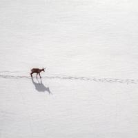 avril 55 : Philippe DUVAL