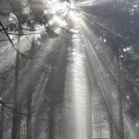 avril 72 : Syvlie CUMONT