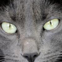 avril 07 : France COTONNEC