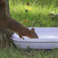 avril 08 : Monique NUVIALA