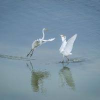 02 mai : Catherine BOURGEOIS