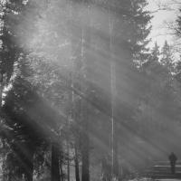 43 mai : Sylvie CUMONT