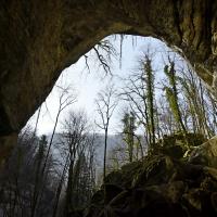 10 mai : Sylvie CUMONT