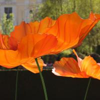 28 mai : Pascal SOUCHARD