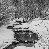 juin 22 : Aurélie PILARD