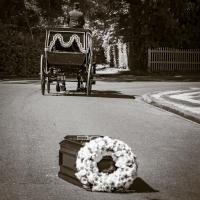 juin 37 : Sylvie CUMONT