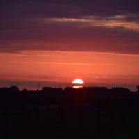 juin 12 : France COTONNEC