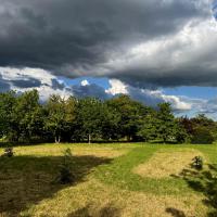 juin 40 : Jean Paul DELALANDE