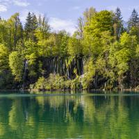 dec 11 : Catherine BOURGEOIS