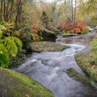 dec 31 : Christian SIRET