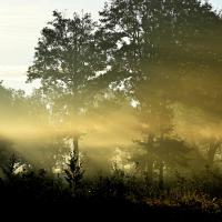 fev19 : Philippe CUMONT