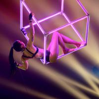 fev43 : Antony FEUILLET