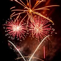 fev55 : Sylvie CUMONT