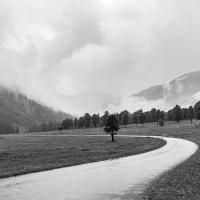 mars09 : Catherine BOURGEOIS