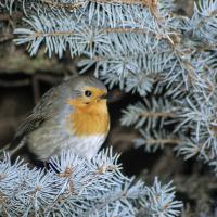 mars18 : Aurélie PILARD