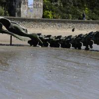 Juin51 : France COTONNEC